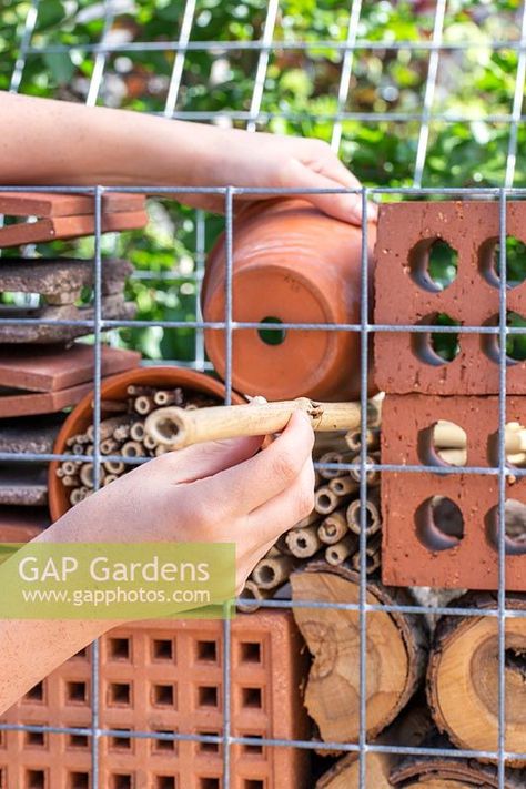 Adding bamboo sticks cut to length to the insect hotel Gabion Bug Hotel, Gabion Cages, Gabion Baskets, Community Gardens, Bug Hotel, Gabion Wall, Insect Hotel, Plant Photography, Small Backyard Patio