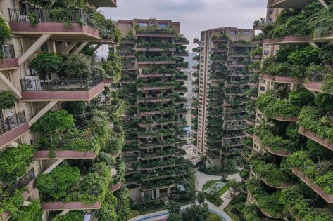 This beautiful 'vertical forest' housing project in China went horribly wrong as residents had to abandon their apartments after the buildings were overrun by plants and mosquitoes : Luxurylaunches Large Vertical Garden, Vertical Forest, Arcology, Green Facade, Forest Garden, Residential Complex, Balcony Design, Apartment Garden, Concrete Jungle