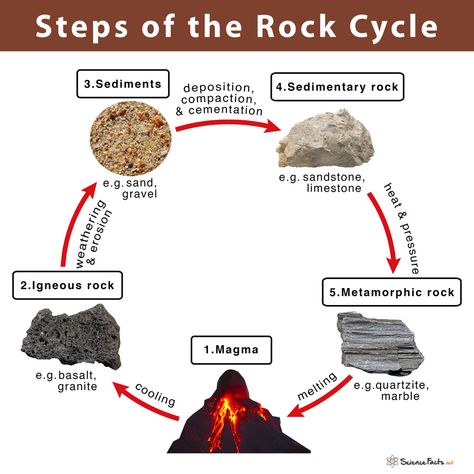 Rock Cycle Diagram, Rock Cycle Project, Different Types Of Rocks, Cycle Drawing, Earth Science Lessons, Weathering And Erosion, Classroom Science, Rock Cycle, Study Flashcards