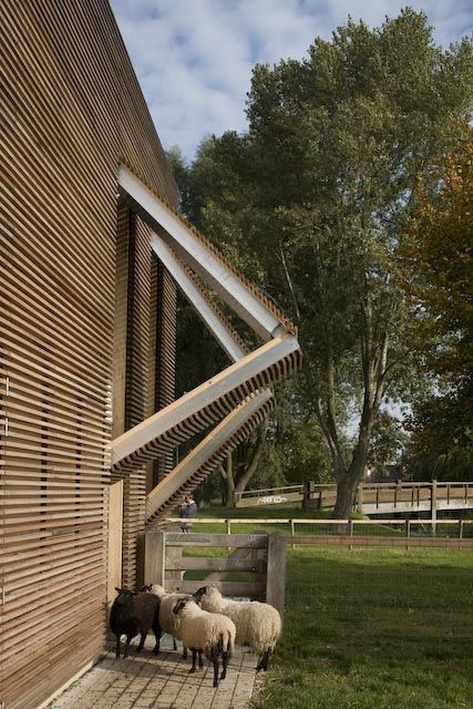 Petting Farm / 70F Architecture Petting Farm, Zoo Lights, Architecture Images, Architecture Inspiration, Modern Barn, Architect House, Built Environment, Zoo Animals, Stables