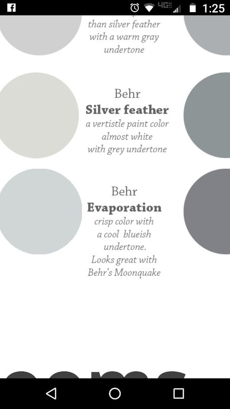 Silver Feather Behr Paint, Behr Silver Feather, Behr Gray Paint, Behr Gray, Shed Colours, Behr Paint, Gray Paint, Silver City, House Paint