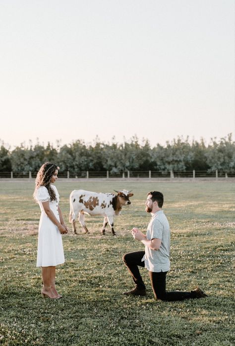 My fiance proposed at Lone Oaks Longhorn ranch in Yuba, CA! It was a magical engagement. Western Proposal Ideas, Western Proposal, Simple Proposal Ideas Engagement, Country Proposal, Simple Proposal Ideas, Simple Proposal, Proposal Ideas Engagement, Dream Future, Gettin Hitched