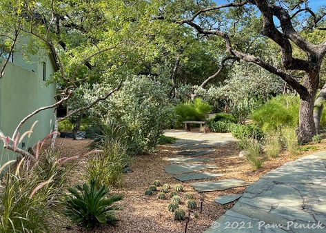 Austin Landscape Ideas, Austin Texas Backyard Ideas, Texas Garden Ideas Landscape Design, Texas Backyard Ideas, Austin Texas Landscaping, Mediterranean Yard, South Texas Landscaping, Dry Landscaping, Texas Xeriscape