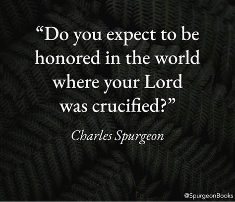 Spurgeon. Do you expect to be honoured in the world where your lord was crucified? Persecuted Church, Ravi Zacharias, Charles Spurgeon Quotes, Spurgeon Quotes, Biblical Scriptures, Study Topics, Wise Thoughts, Godly Life, Church Bulletin