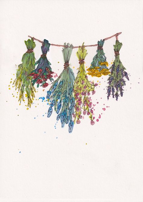 Dried Flower Illustration, Dried Flower Watercolor, Dried Flower Drawing, Dried Flowers Tattoo, Dried Herbs Aesthetic, Witchy Watercolor Art, Dried Flower Tattoo, Flower Bouquet Sketch, Herbs Painting