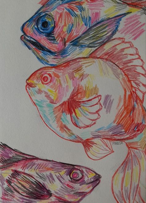 Fish Coloured Pencil Drawing, Fish Crayon Drawing, Gold Fish Drawing, Coloured Pencil Drawings, Colored Pencil Artwork Ideas, Prismacolor Drawing, Color Pencil Illustration, Fish Drawing, Pencil Artwork