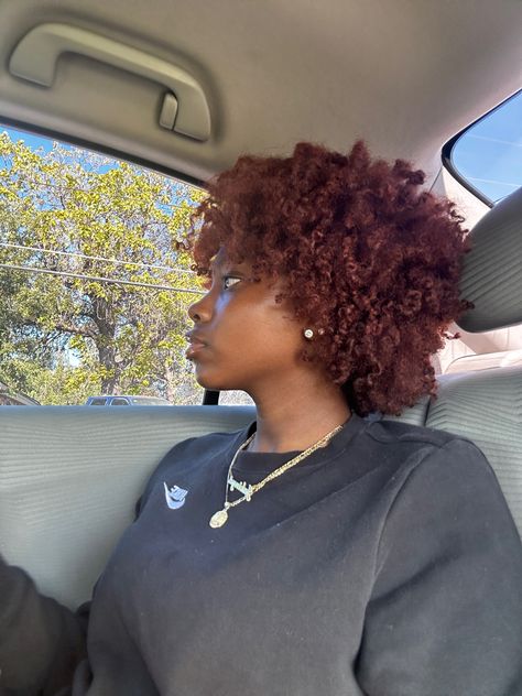 Short Dyed Natural Hair, Dark Ginger Natural Hair, 4c Colored Hair, Colored Afro Natural Hair, Colored 4c Hair, Afro Dyed Hair, Dyed Tips Curly Hair, 4c Hair Dye Ideas, Dyed Afro Hair