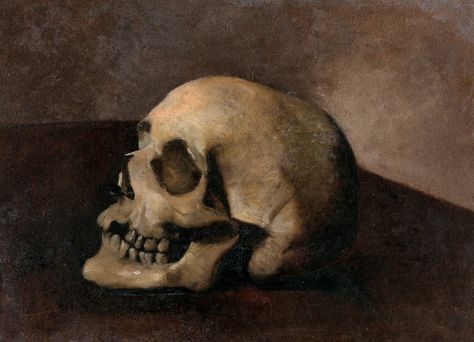 A skull. Oil painting. Skull Oil Painting, Wellcome Images, Vintage Oddities, Vintage Still Life, Academia Decor, Wellcome Collection, Dark Academia Decor, Momento Mori, Skull Painting