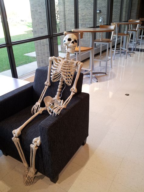 Skeleton Listening To Music, Skeleton Images, Skeleton Pics, Bday Wishlist, Medical Student Motivation, Wheel Chair, The Comfy, Funny Skeleton, Student Motivation