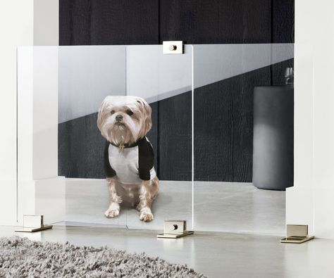 The Green Head - Finds Cool New Stuff! | Browse: Living - Page: 1 Dog Divider, Round Shag Rug, Dog Gates, Coffee Table Cover, White Bar Stools, Dog Area, Dog Room, Dog Gate, Modern Pet