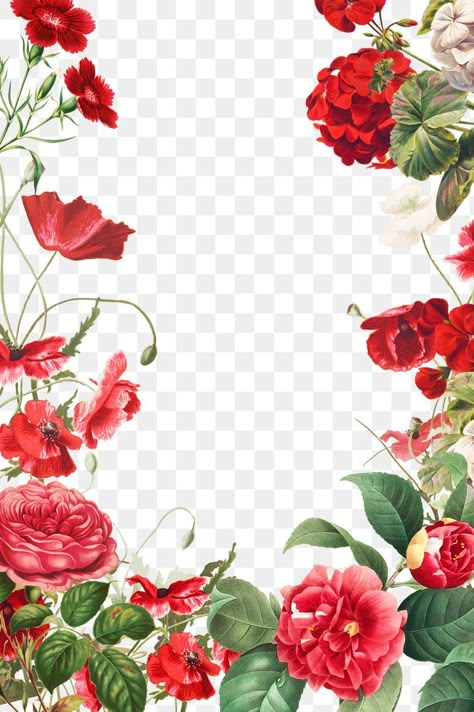 Red Flower Frame Background, Flower Border Png, Wedding Background Wallpaper, Happy Diwali Wallpapers, Flower Frame Png, Vintage Decorations, Png Illustration, Flowers Frame, Floral Frames