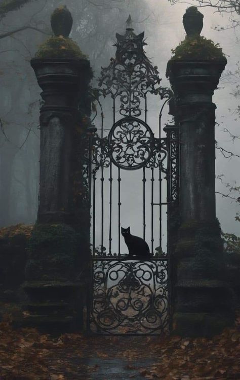 Witchy Asthetic Picture, Gothic Photos, Gothic Gate, Black Cat Wallpaper, Gothic Autumn, Gothic Cat, Gothic Garden, Cocoppa Wallpaper, Witchy Wallpaper