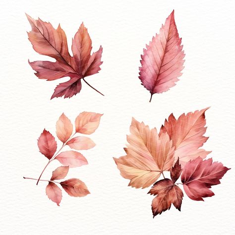 26 Dusty Pink Leaves Clipart, for Autumn Floral Frames, Botanical Leaf Elements in Blush and Pastel Rose, Fall Wedding Invitation https://digitalduskyrose.etsy.com/listing/1722056224 🔗 Explore More: For more design inspiration, explore our other Autumn & Halloween collections here: https://www.etsy.com/uk/shop/DigitalDuskyRose?section_id=44386565 Rose Fall Wedding, Fall Leaves Tattoo, Leaves Clipart, Foto Collage, Floral Frames, Baby Rosa, Leaf Clipart, Pastel Roses, Fall Wedding Invitations