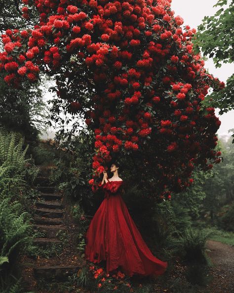 Rosie Hardy 🌿 on Instagram: “The way my heart grows. 🌹🌿 I've finally had a few quieter days to pick back up some emotional sanity and reconnect myself back to life -…” Arte Glitter, Era Victoria, Old Dress, Fairytale Photography, Shotting Photo, Fantasy Photography, Montage Photo, Fairytale Dress, Princess Aesthetic