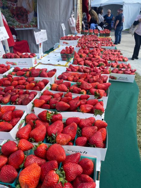 Strawberry Festival Aesthetic, Strawberry Festival, Festival Aesthetic, Florida Girl, All Is Well, Girls Life, Fresh Strawberry, Strawberry Shortcake, Farmers Market