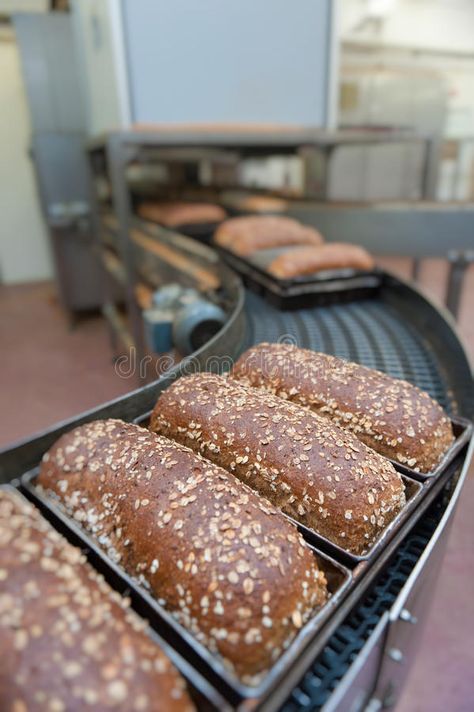 Bread Factory, Industry Images, Brown Bread, Food Production, Cake Factory, The Factory, Bread And Pastries, Stock Photography Free, Loaf Bread