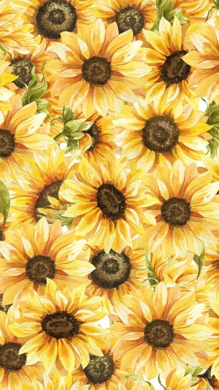 Aztec Wallpaper, Sunflowers Background, Sunflower Drawing, Sunflower Colors, Sunflower Pictures, Fun Arts And Crafts, Pretty Backgrounds, Printable Pictures, Sunflower Wallpaper