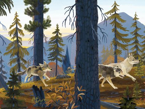 Wolves – Kim Smith Life Is Strange Characters, Kim Smith, Bel Art, Canine Art, Art Et Illustration, Wolf Art, Wildlife Art, Pics Art, Creature Art