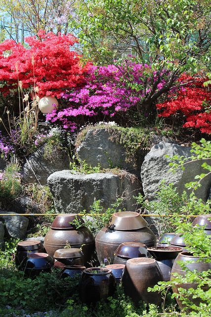 Korean Table, Korean Garden, Big Pots, Asian Garden, Garden Backyard, The Secret Garden, Garden Pictures, Gorgeous Gardens, Japanese Garden