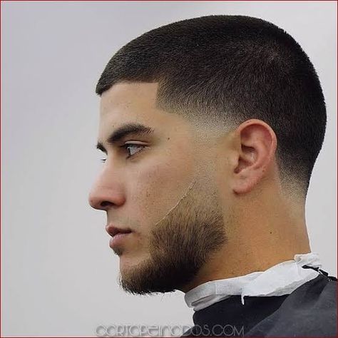 Short Taper Haircut, Afro Fade Haircut, Short Taper Fade, Temp Fade Haircut, Types Of Fade Haircut, Blowout Haircut, Short Hair With Beard, Best Fade Haircuts, Afro Fade