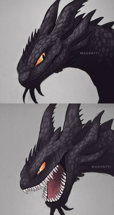 Night Fury Art, Nightfury Dragon, Night Fury Dragon, Httyd Art, Image Spiderman, Dreamworks Dragons, Dragon Sketch, Httyd Dragons, Dragon Trainer