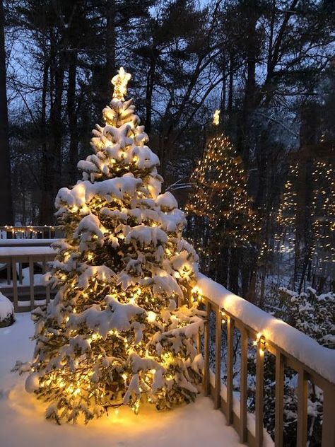 Cold Christmas Aesthetic, Snow And Christmas, Cold Christmas, Christmas House Tour, Christmas Tours, Snowy Christmas, Cosy Christmas, Christmas Atmosphere, Christmas Town