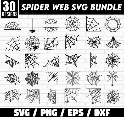 Different Types Of Spider Webs, Spider Web Drawing Easy, Spider Web Outline, Spiderweb Sketch, Spoder Web, Diy Halloween Spider Web, Spider Web Clipart, 2024 Journaling, Spider Web With Spider