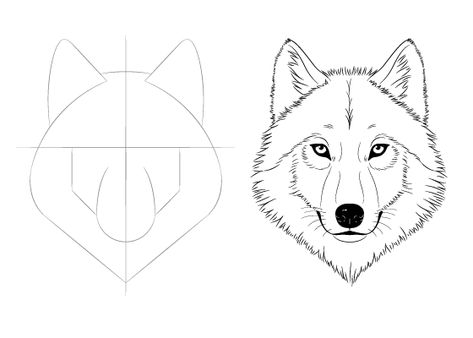 Easy Drawing Tutorials for Beginner & Intermediate Artists Wolf Face Drawing, Trin For Trin Tegning, Wolf Sketch, Easy Drawings For Beginners, Wolf Face, Drawing Tutorials For Beginners, Drawing Eyes, Easy Drawing Tutorial, Drawing Examples