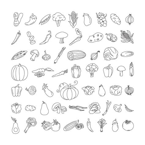 Book Vector Illustration, Drawing Fruit, Fruit Doodle, Vegetable Drawing, Book Vector, Freehand Drawing, Vegetable Illustration, Garden Illustration, Food Illustration Art