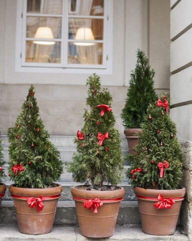 outdoor christmas planters trees Best Outdoor Christmas Decorations, Navidad Natural, Holiday Decorating Ideas, Outdoor Christmas Planters, Chic Christmas Decor, Simple Holiday Decor, Potted Christmas Trees, Chic Christmas Gifts, Winter Planter