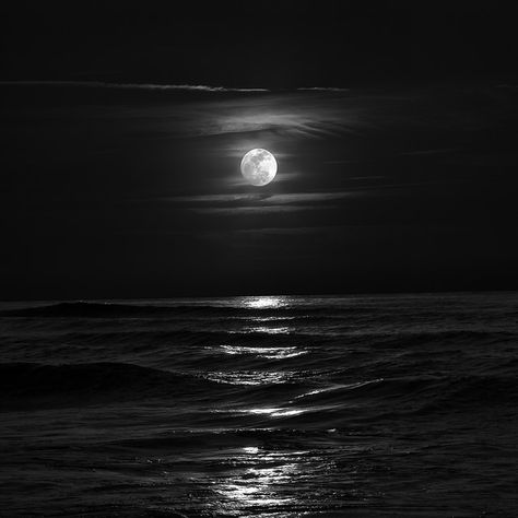 Black Ocean, The Moon Is Beautiful, Dark Paradise, Night Scenery, Dark Pictures, Arte Obscura, Foto Ideas Instagram, Black And White Aesthetic, Black Sea