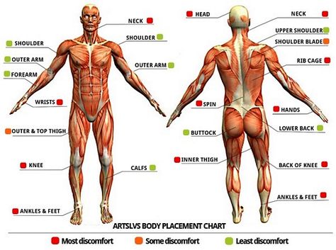 Expected level of pain you will experience while tattooing a certain area. Good to know Tattoo Placement Chart, Pain Chart, Origami Tattoo, Latissimus Dorsi, Gluteus Medius, Mobility Exercises, Anatomy And Physiology, Ink Ideas, Tattoo Placement