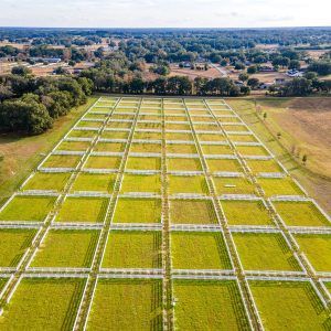 World Equestrian Center Ocala, Stable Ideas, Luxury Outdoor Spaces, Raised Garden Beds Diy Vegetables, Indoor Arena, Equestrian Center, Farm Business, Dream Horse Barns, Equestrian Facilities