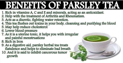 When you find out the benefits of parsley, you will never again look at it as just being a garnish that usually ends up in the bin! Parsley Tea Benefits, Benefits Of Parsley, Parsley Benefits, Parsley Tea, Reduce Cholesterol, Tea Benefits, Water Retention, Never Again, Lower Blood Pressure