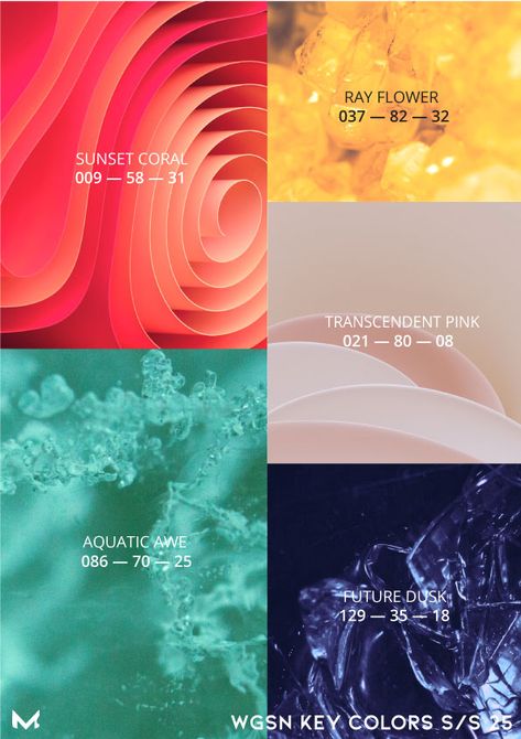 Trendy Colors 2024 Fashion Summer, Wgsn Trend Forecast 2024/2025, Wgsn 2025 Fashion Trends, Wgsn 2024, Summer Color Trends, 2025 Trends, Color Forecasting, Color Trends Fashion, Print Inspiration