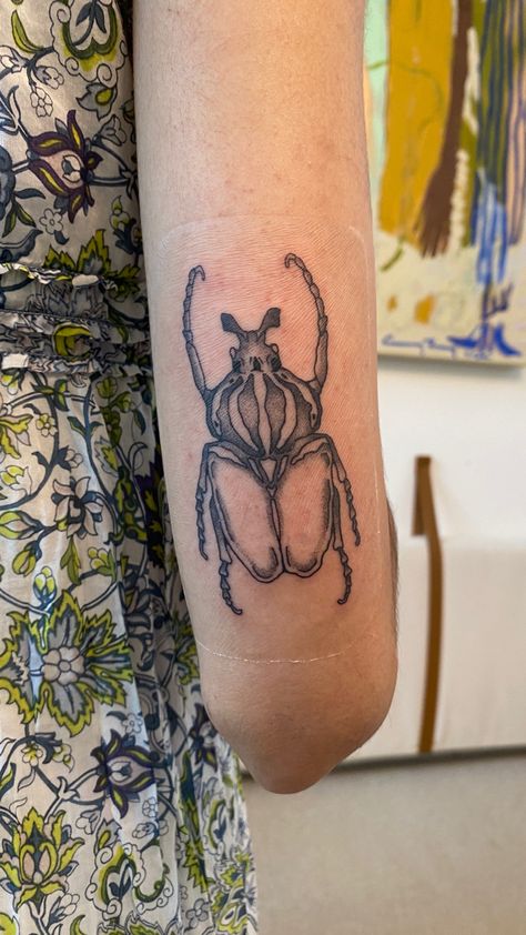 goliath beetle tattoo Goliath Beetle Tattoo, Beetle Scientific Illustration, Bug Tattoos For Women, Woodsy Tattoos, Tattoo Silly, Beetle Tattoos, Insect Tattoos, Goliath Beetle, Shield Bugs