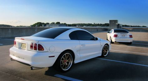 1998 Mustang, Sn95 Mustang, White Mustang, Cadillac Cts V, Custom Wraps, Black Carpet, Radiator Cover, Black Floor, Cadillac Cts