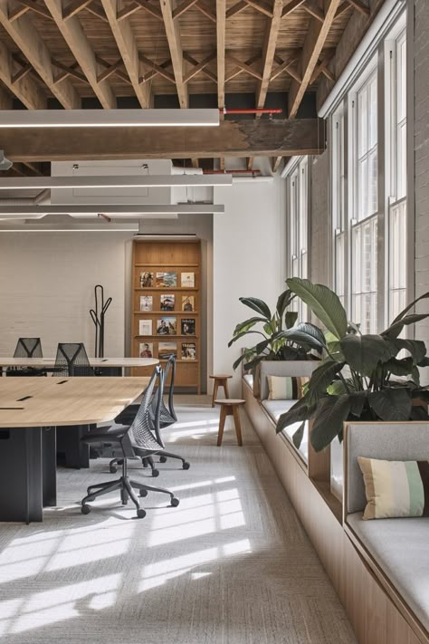 Home Workspace Design, Bedroom Office Design, Scandinavian Office Interior, Scandinavian Office Design, Scandinavian Office, Open Office Design, Natural Office, Commercial Office Design, Australian Interior