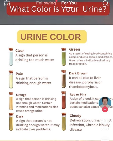 Phlebotomy Notes, Picc Nurse, Types Of Doctors, Women Health Vitamins, Body Knowledge, Nurse Skills, Medical Assisting, Medical Laboratory Technician, Medical Assistant Student