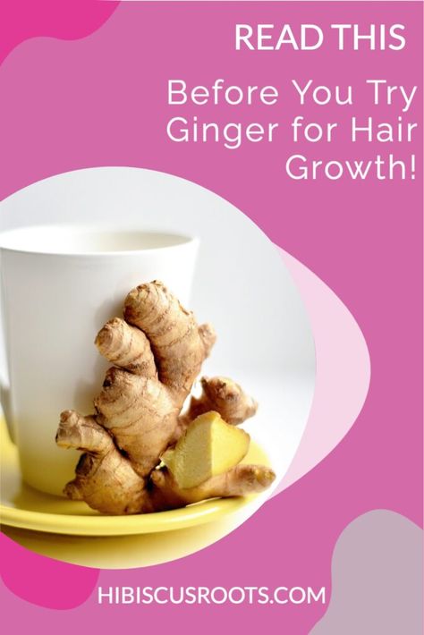 Ginger For Hair, Ginger Water For Hair Growth, Ginger For Hair Growth, Ginger For Hair Growth How To Use, Diy Ginger Oil For Hair Growth, Ginger Oil For Hair Growth, Ginger Oil For Hair, Grow Afro Hair Fast, Benefits Of Ginger Root