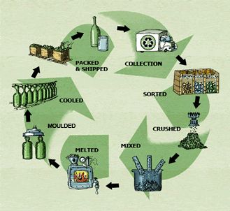 Understanding Recycling Glass #electronic #recycle #recycling #understand #process #recyclingplant Plastic Recycling Process, Eco Roof, Workplace Rules, Benefits Of Recycling, Glass Recycling, Practice Sketching, Common App Essay, Waste To Energy, Recycling Companies