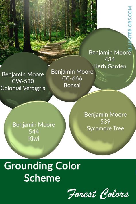 Avocado Green Paint Color, Forest Green Paint Palette, Earthy Green Color Palette, Moss Green Color Palette, Orange Cabinets, Forest Colors, Forest Home, Paint Combinations, Forest Color