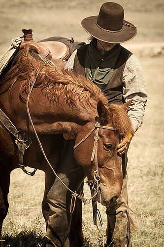 Cowboys Bar, Cowboy Photography, Cowgirl Photo, Bucking Bulls, Cowboy Ranch, Western Photo, Cowboy Pictures, Real Cowboys, Cowboy Aesthetic