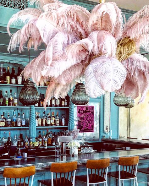 Wade Hall McElroy on Instagram: “Can I get a 👏👏👏 for this pink ostrich feather chandelier // @primrose.dc . . . . #interiors #interiordesign #bardesign #restaurantdesign…” Ostrich Feather Chandelier, Ostrich Feather Decor, Feather Chandelier, Feather Lamp, Feather Decor, Tiki Room, Pretty Tables, Ostrich Feathers, Interior Photography