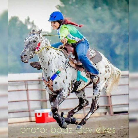 Fallon Taylor and Spot Fallon Taylor Barrel Racing, Barrel Racing Hailey Kinsel, Turn And Burn Barrel Racing, Pleasure Horses Western, Fallon Taylor, Celebrities Horse Riding, Pole Bending, Rodeo Horses, Barrel Racer