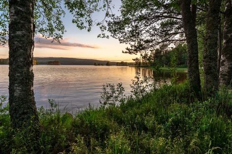 Calm Pictures, Enchanted Tree, Fishing Lake, Big Lake, Lake Photos, Bali Island, Tree Light, Blue Sky Background, Lake Fishing