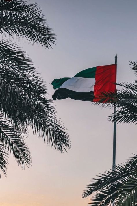 Uae Culture Aesthetic, Dubai Flag Wallpaper, United Arab Emirates Aesthetic, Uae Flag Aesthetic, Uae Wallpaper, Dubai Flag, Uae Photography, Uae Aesthetic, Emirates Flag