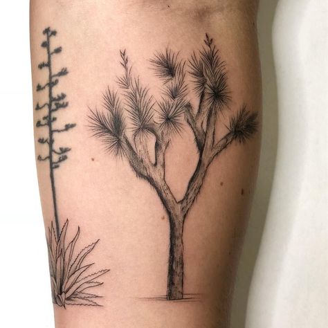 Joshua tree aloe tattoo Desert Bird Tattoo, Joshua Tree Drawing Simple, Desert Flower Tattoo, Joshua Tattoo, Desert Tattoo Ideas, Joshua Tree Tattoo, August Tattoo, Cali Tattoo, Tree Tattoo Ideas