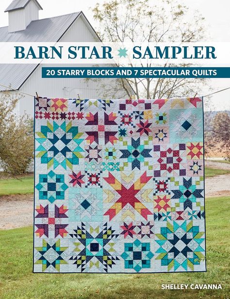 Barn Star Sampler — Cora's Quilts by Shelley Cavanna Star Sampler Quilt, Wood Quilt Block, Wood Quilt, Quilt Book, Quilt Pattern Book, Sewing Challenge, Flower Quilts, Barn Quilt Patterns, Sampler Quilts