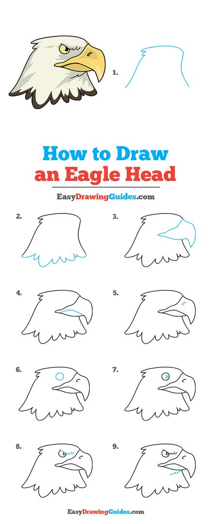 How To Draw An Eagle, Cute Eagle Drawing, Eagle Drawing Simple, Bird Head Drawing, Head Drawing Step By Step, Eagle Head Drawing, Eagle Drawing Easy, Eagle Football, Eagle Cartoon